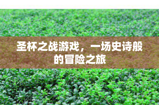 一场史诗般的冒险之旅图片