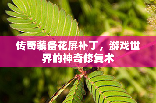 游戏世界的神奇修复术图片
