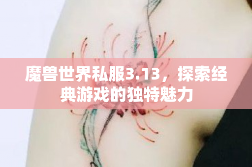 探索经典游戏的独特魅力图片