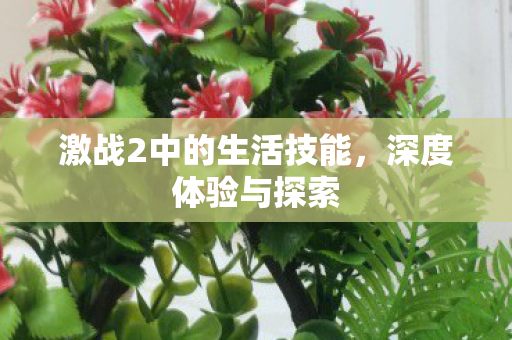 激战2中的生活技能图片