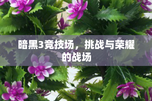挑战与荣耀的战场图片