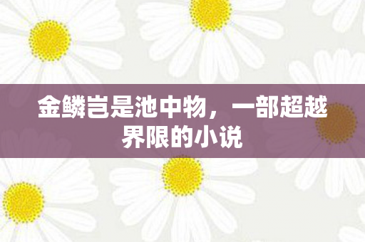 一部超越界限的小说图片