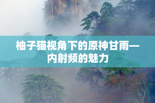 柚子猫视角下的原神甘雨图片