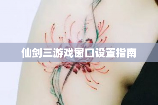 仙剑三游戏窗口设置指南图片