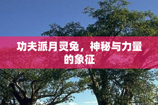 神秘与力量的象征图片