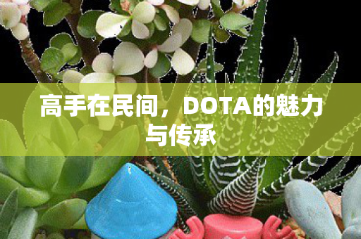 DOTA的魅力与传承图片