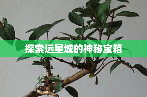 探索远星城的神秘宝箱图片
