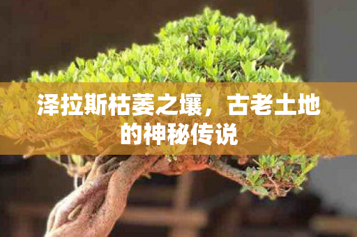 古老土地的神秘传说图片