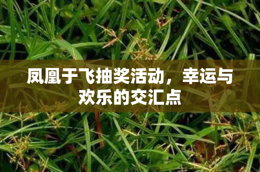 幸运与欢乐的交汇点图片