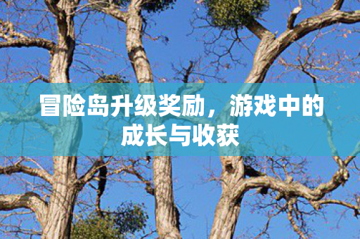 游戏中的成长与收获图片
