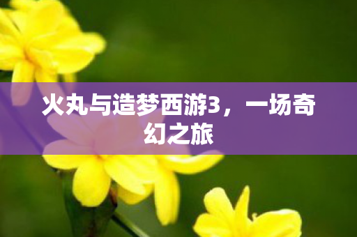 火丸与造梦西游3图片