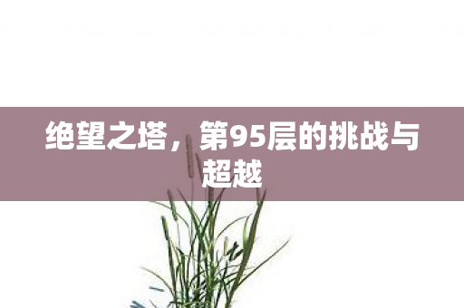 第95层的挑战与超越图片