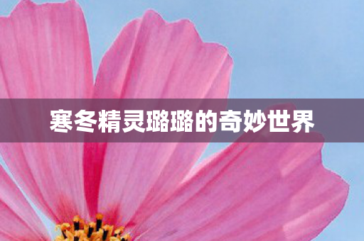 寒冬精灵璐璐的奇妙世界图片