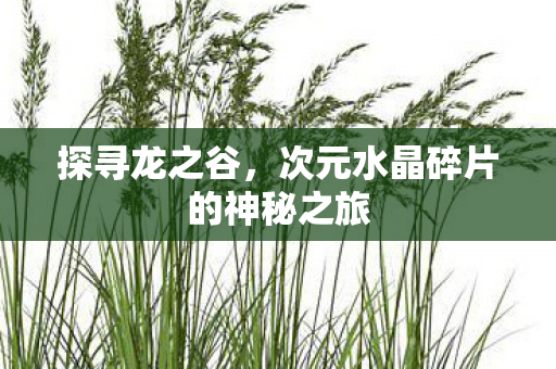 次元水晶碎片的神秘之旅图片