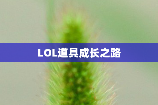 LOL道具成长之路图片