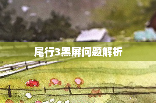 尾行3黑屏问题解析图片