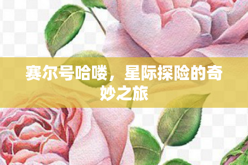 星际探险的奇妙之旅图片