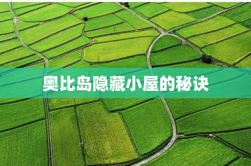 奥比岛隐藏小屋的秘诀图片