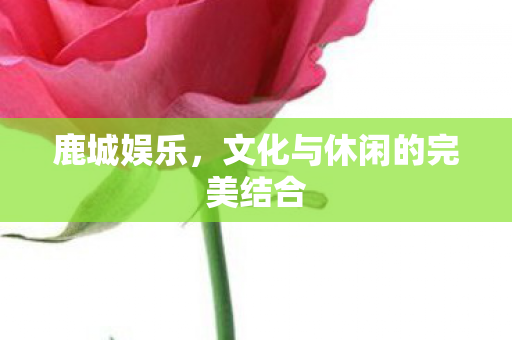 文化与休闲的完美结合图片