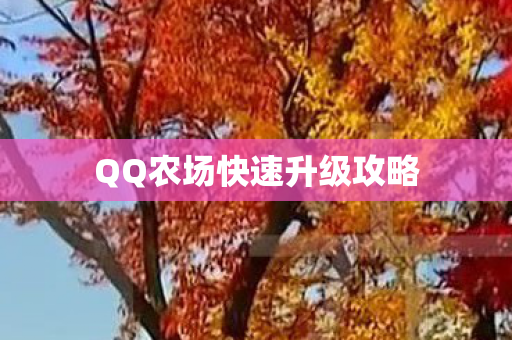 QQ农场快速升级攻略图片