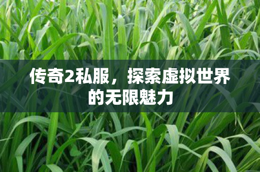 探索虚拟世界的无限魅力图片