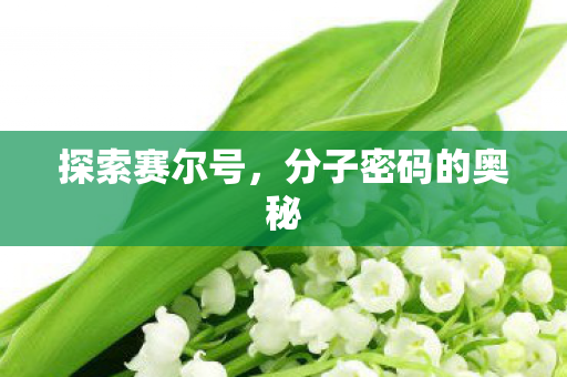 分子密码的奥秘图片