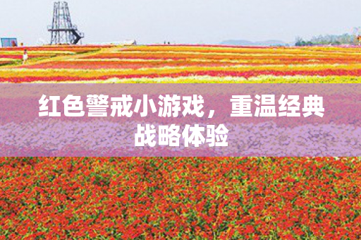 重温经典战略体验图片
