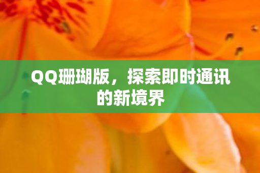 探索即时通讯的新境界图片