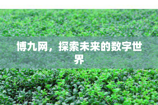 探索未来的数字世界图片