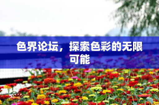 探索色彩的无限可能图片