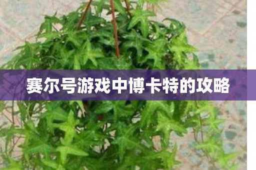 赛尔号游戏中博卡特的攻略图片