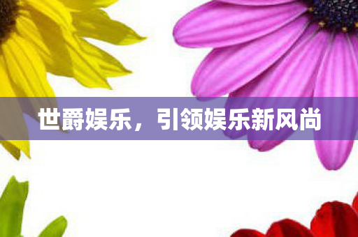 引领娱乐新风尚图片