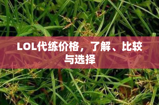 LOL代练价格图片