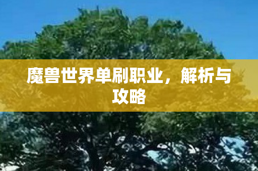 魔兽世界单刷职业图片