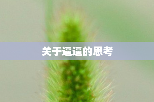 关于逼逼的思考图片
