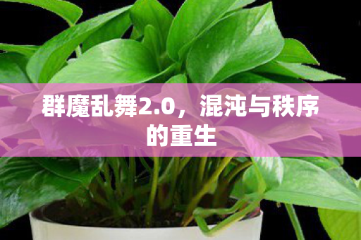 混沌与秩序的重生图片
