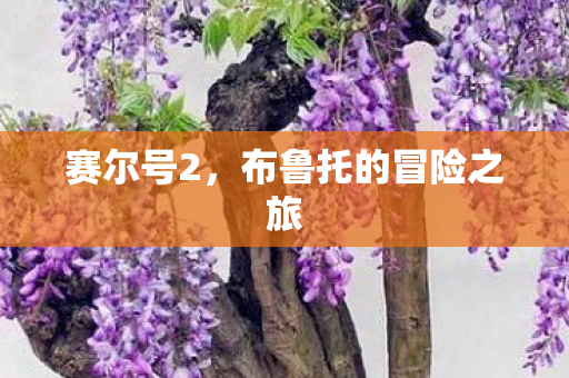 布鲁托的冒险之旅图片