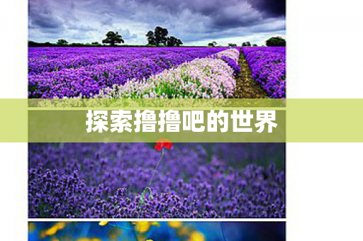 探索撸撸吧的世界图片