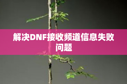 解决DNF接收频道信息失败问题图片