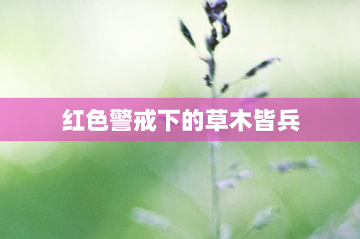 红色警戒下的草木皆兵图片