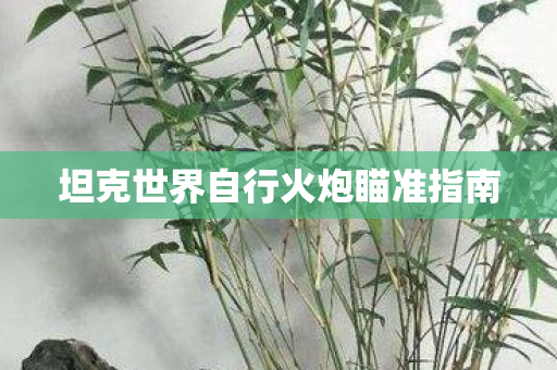 坦克世界自行火炮瞄准指南图片