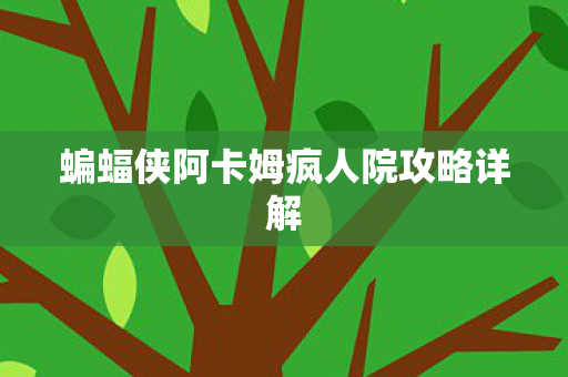 蝙蝠侠阿卡姆疯人院攻略详解图片
