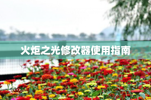 火炬之光修改器使用指南图片