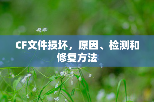 检测和修复方法图片