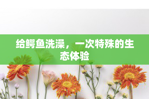 一次特殊的生态体验图片