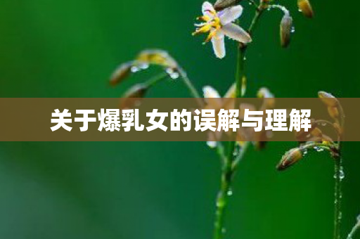 关于爆乳女的误解与理解图片