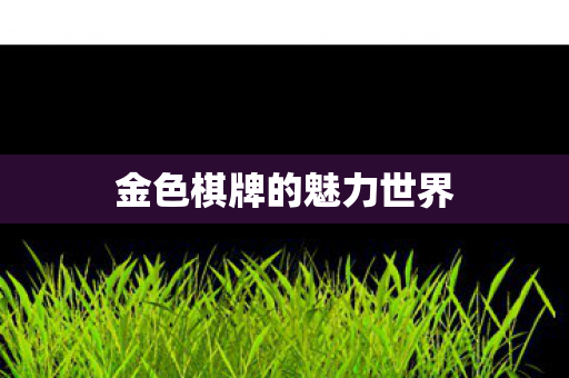 金色棋牌的魅力世界图片