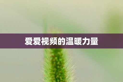 爱爱视频的温暖力量图片