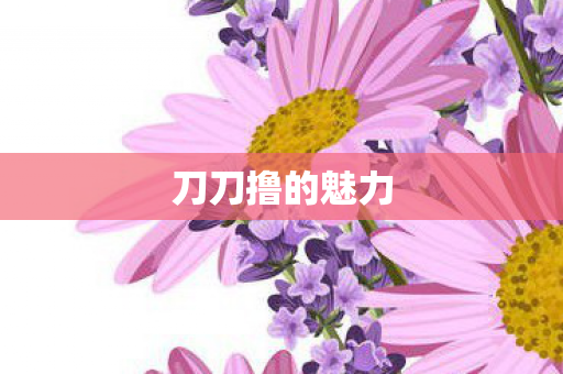 刀刀撸的魅力图片