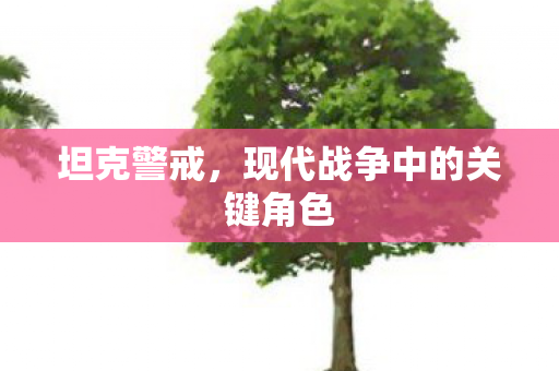 现代战争中的关键角色图片